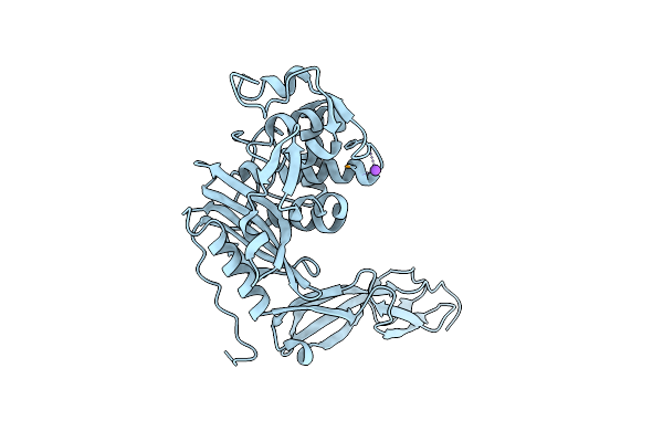 4DRT image