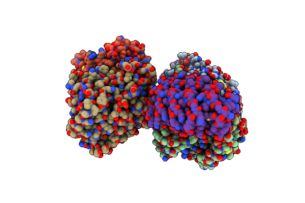 4DRX image