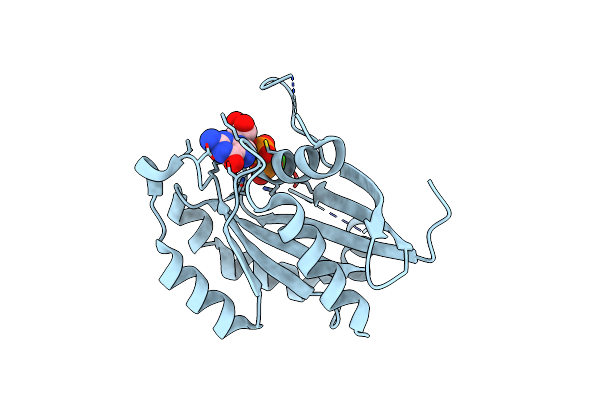 4DRZ image