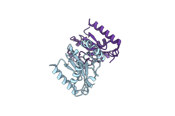 4DS2 image