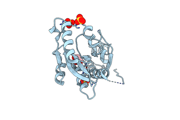 4DS3 image