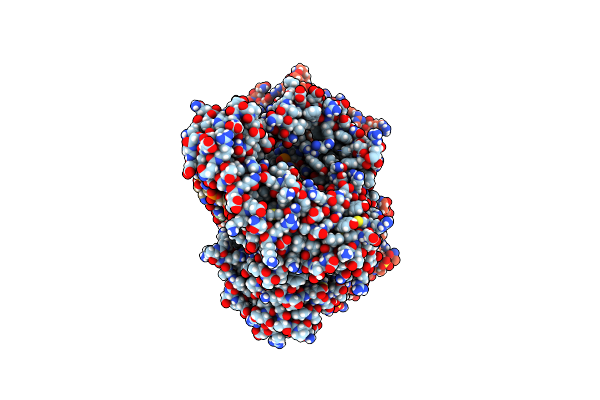 4DSE image