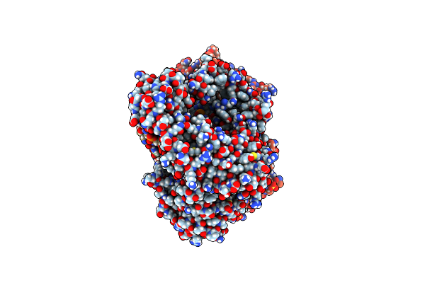 4DSF image