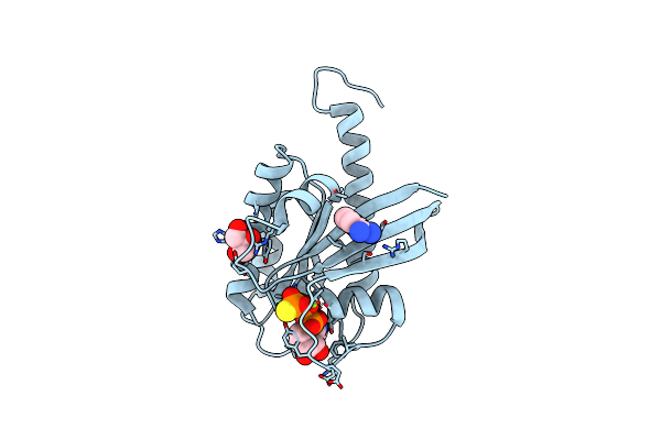 4DSO image