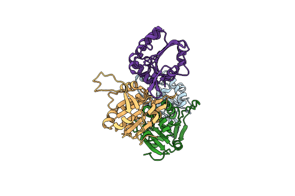 4DSR image