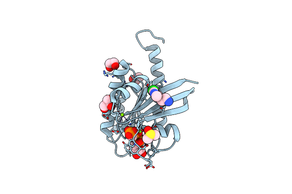 4DST image