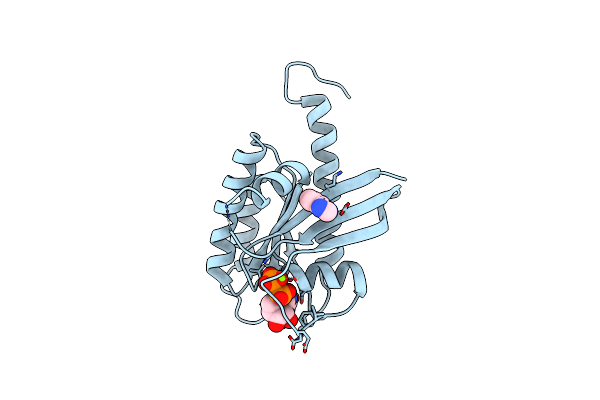 4DSU image