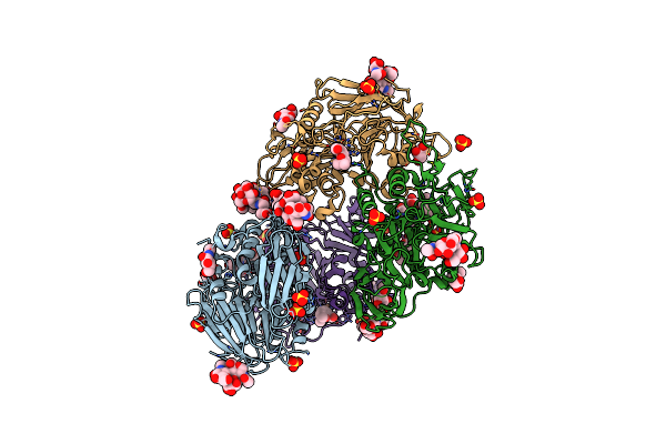4DT2 image