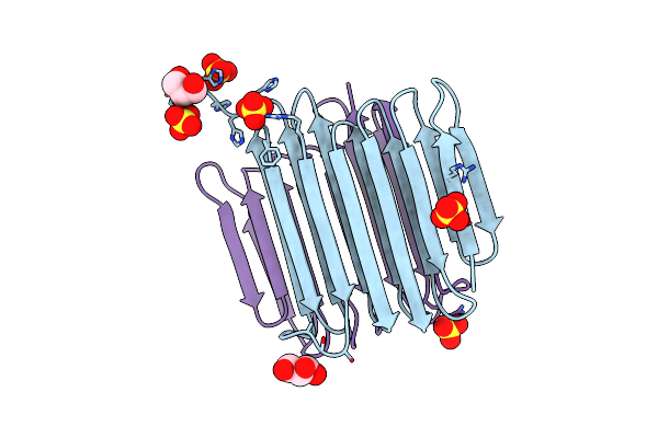 4DT5 image