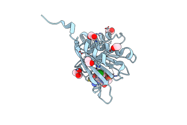 4DT6 image