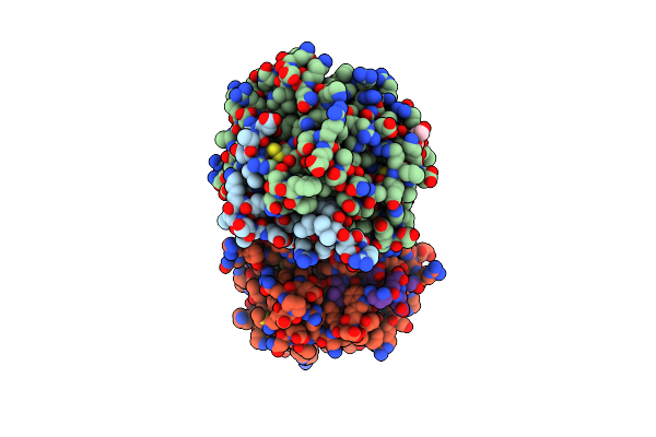 4DT7 image