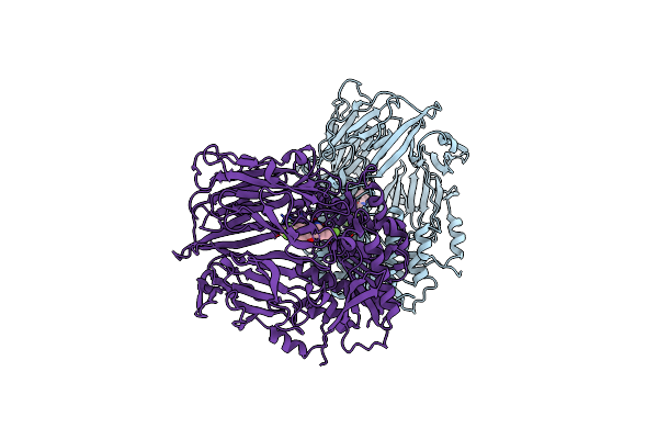 4DTC image