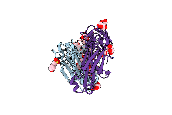 4DTG image