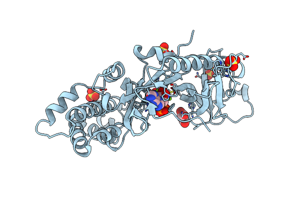 4DTH image