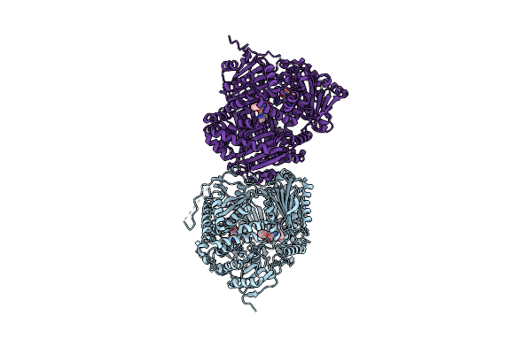 4DTT image