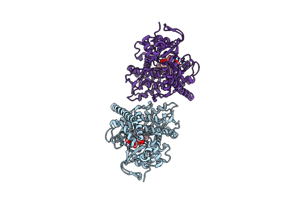4DTZ image