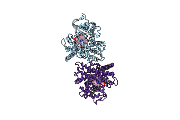 4DUC image