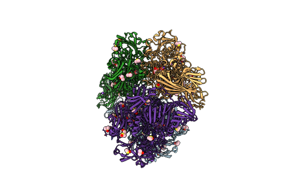 4DUX image