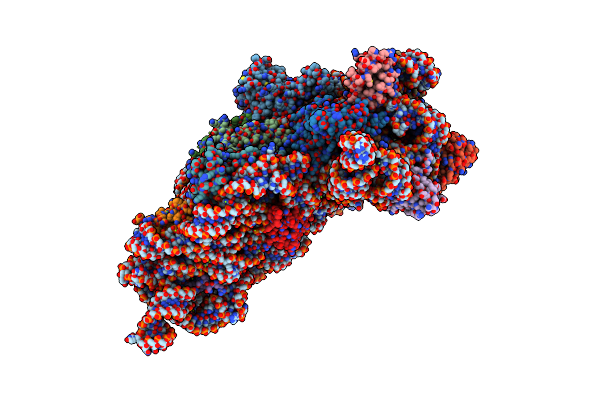 4DV3 image