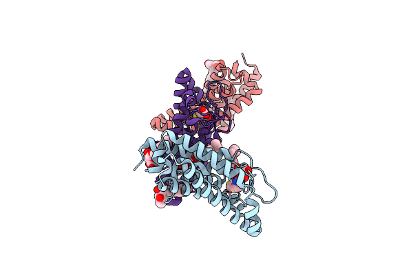 4DVE image