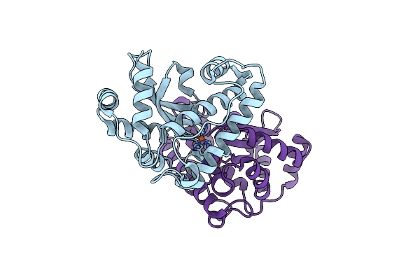 4DVH image