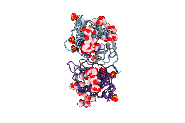 4DVN image