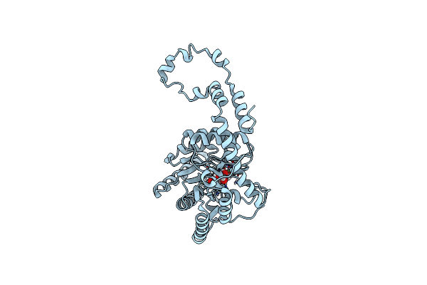 4DVO image