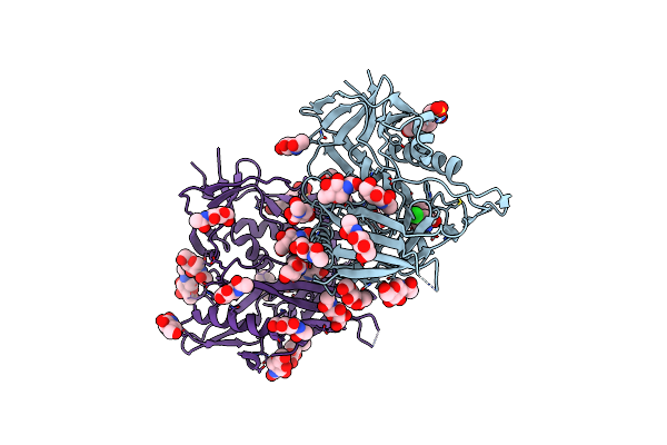 4DVT image