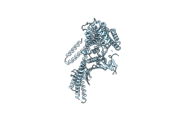 4DVY image
