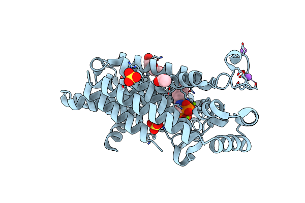 4DWG image