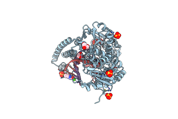 4DWI image