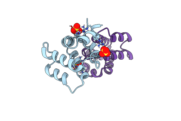 4DWN image