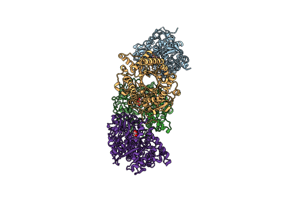 4DWS image