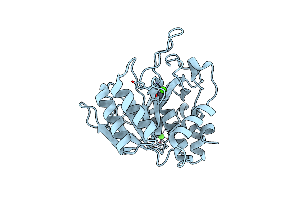 4DWW image