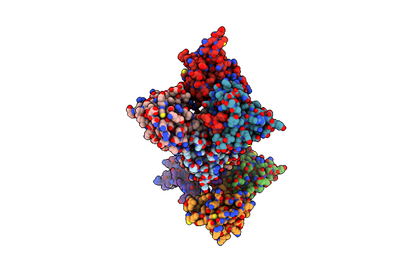 4DX8 image