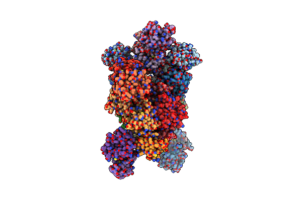 4DX9 image