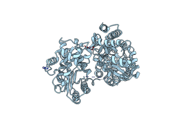 4DXC image