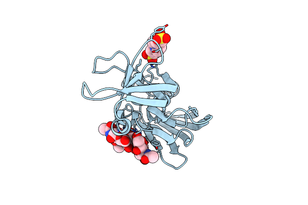 4DXG image