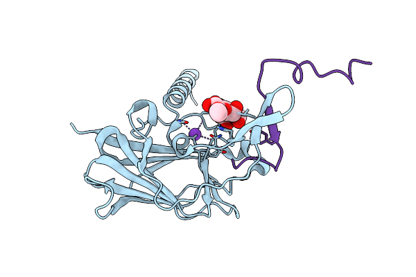 4DXR image