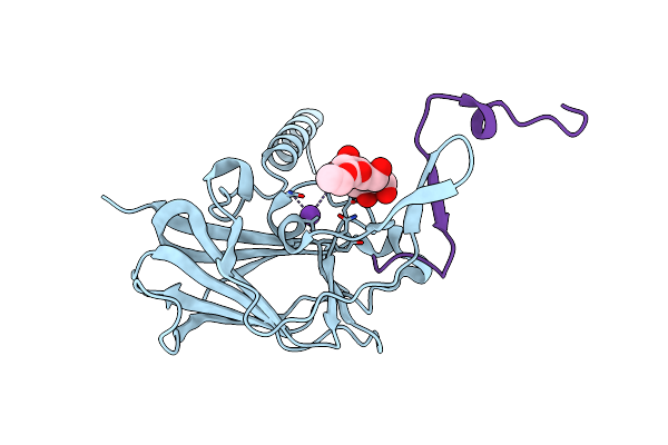 4DXS image
