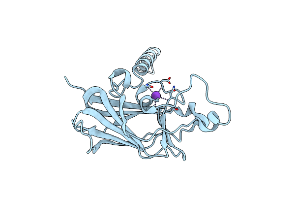 4DXT image