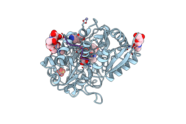 4DXU image
