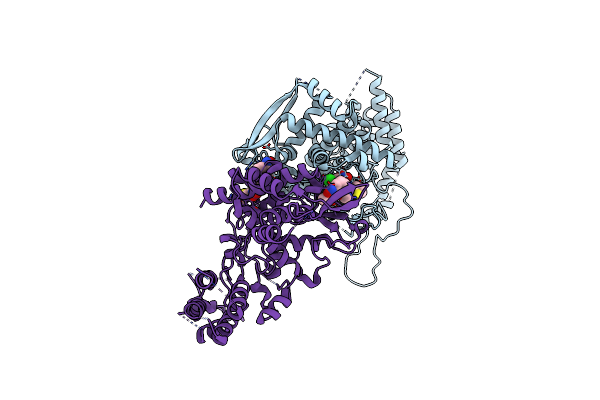 4DYB image