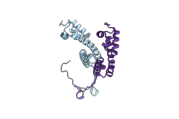 4DYC image