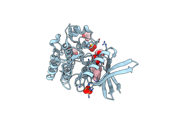 4DYM image
