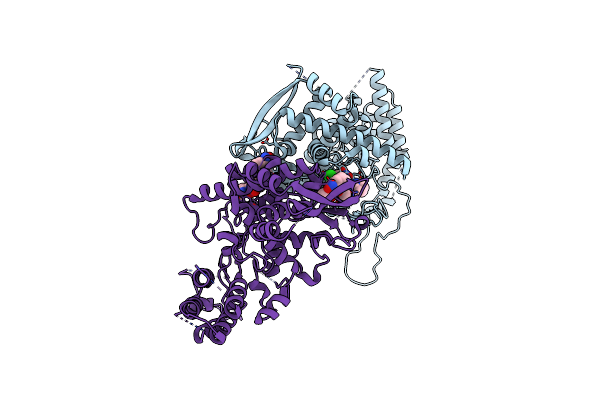4DYN image