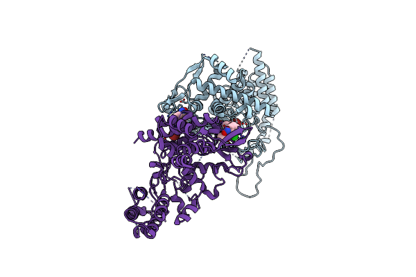 4DYP image
