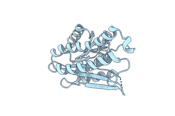4DYV image