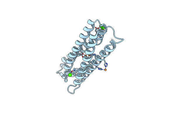 4DYX image
