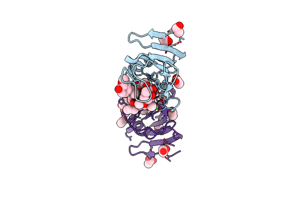 4DZ3 image